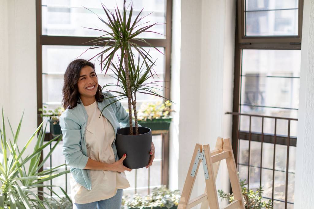 Qual é o tipo de imóvel ideal para você? Conheça as principais opções antes de comprar!