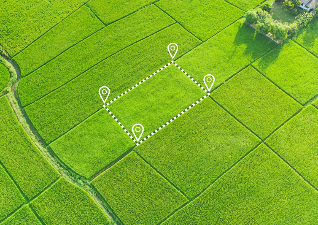 Comprar um lote: um investimento que nunca sai de moda